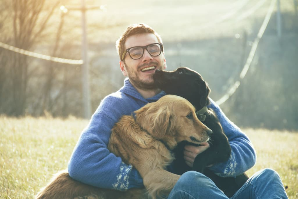 ¿Mi perro entiende lo que le digo?