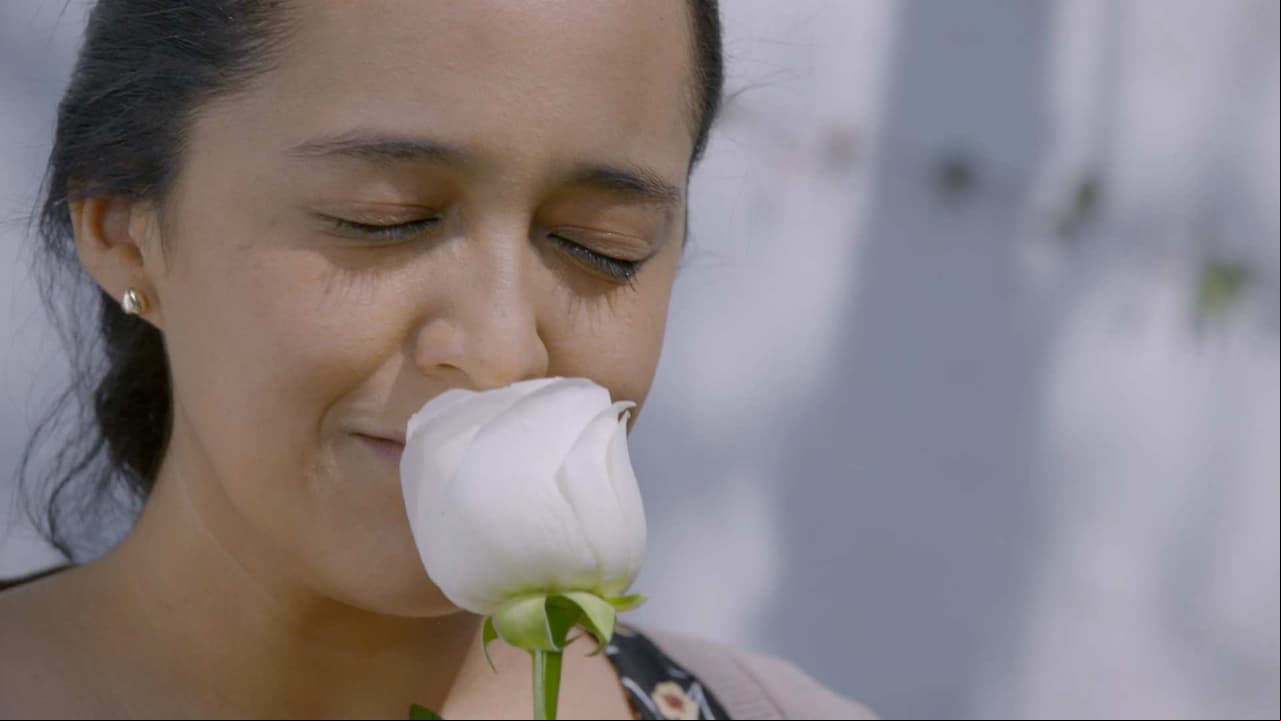 MARATÓN DE LA ROSA DE GUADALUPE: Revive los nuevos capítulos de esta semana