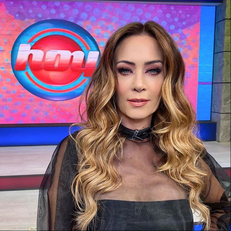 Anette Michel sorprendió al ser la conductora invitada del programa Hoy, logrando acaparar la atención del público, que le dio una bienvenida calurosa. A continuación, te compartimos la transformación de la talentosa presentadora.