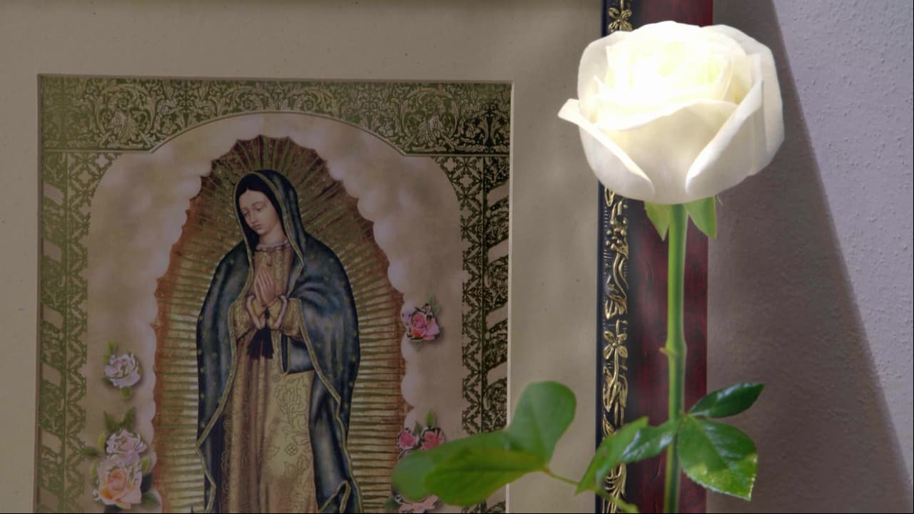 ESTA SEMANA: ¡Disfruta los capítulos de La Rosa de Guadalupe por Facebook Live!