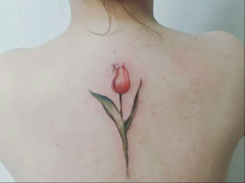 Aries. Te recomendamos un tulipán, pues es delicado y representa la amistad, algo que realmente valoras.