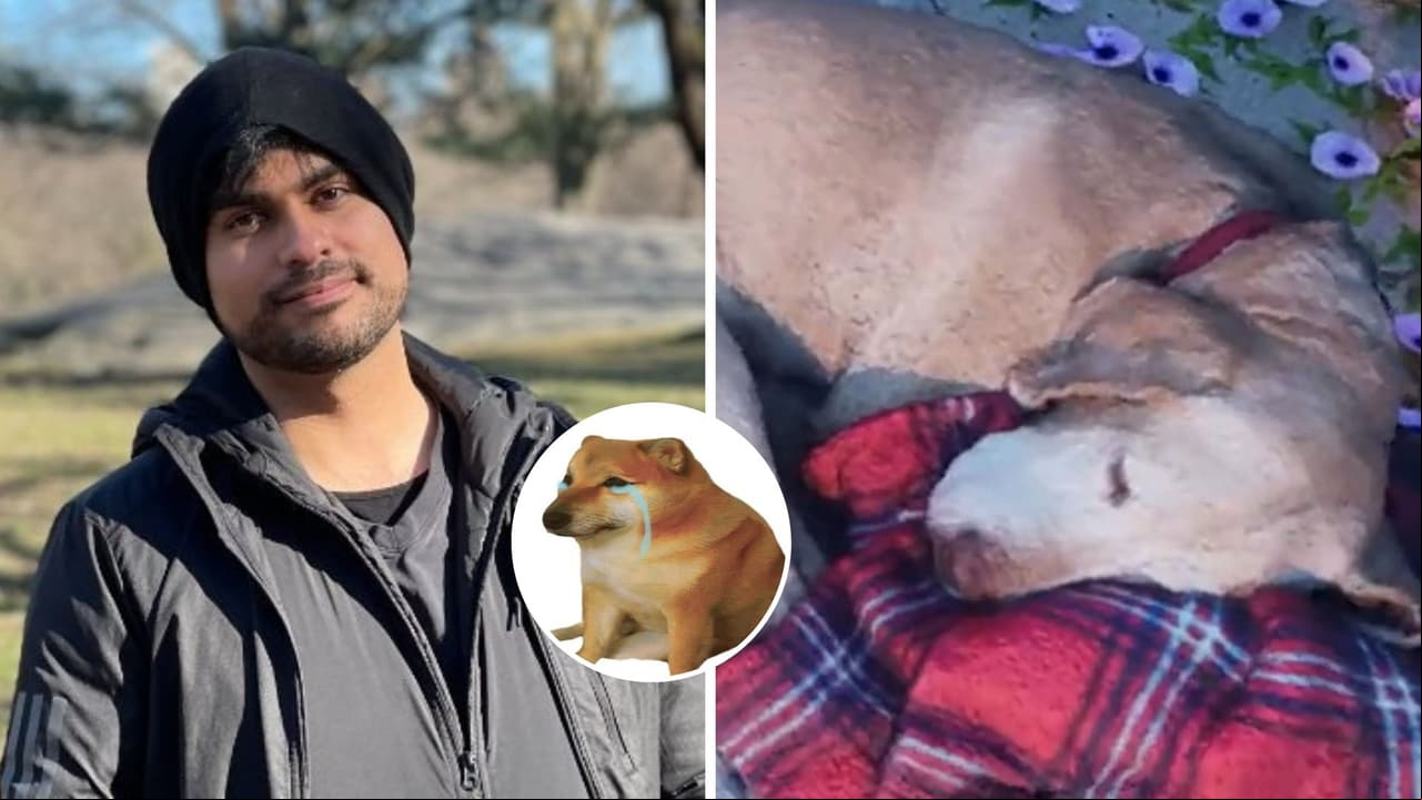 Gamer "revive" a su perrito muerto gracias a la realidad virtual y divide opiniones