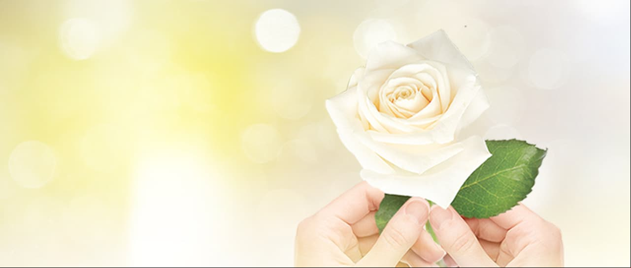 ¡La Rosa de Guadalupe celebra 12 años de milagros!