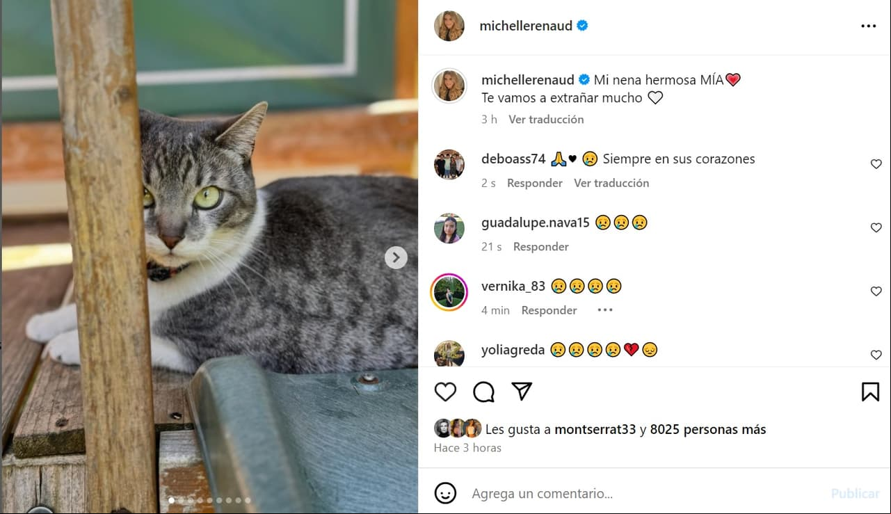 Michelle Renaud está de luto y así se despide