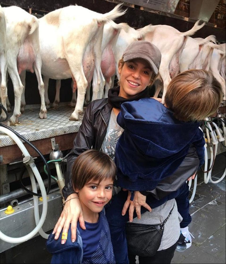 Los niños Piqué Mebarak llegaron a invadir de ternura la vida de sus famosos y exitosos padres.