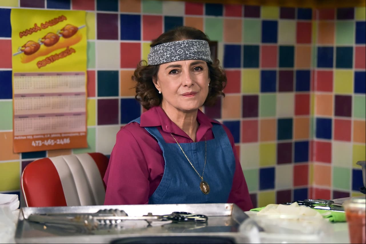 6 novelas clásicas de Diana Bracho que puedes ver en blim tv, además de ‘Qué le Pasa a mi Familia?’