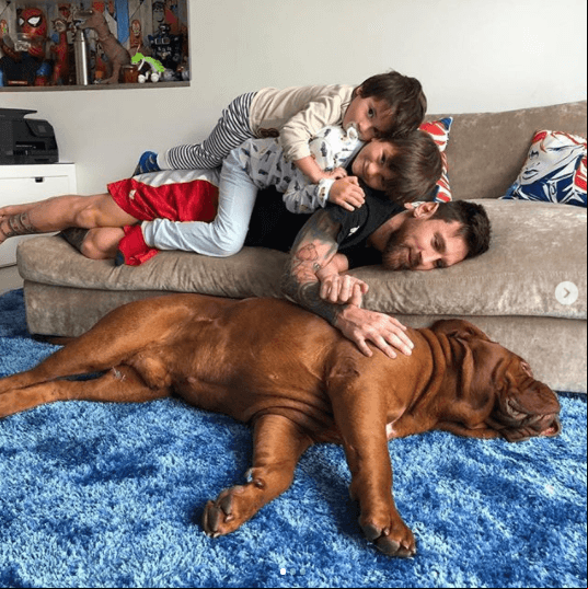 Hulk se deja querer, se ve que es el consentido de la familia.