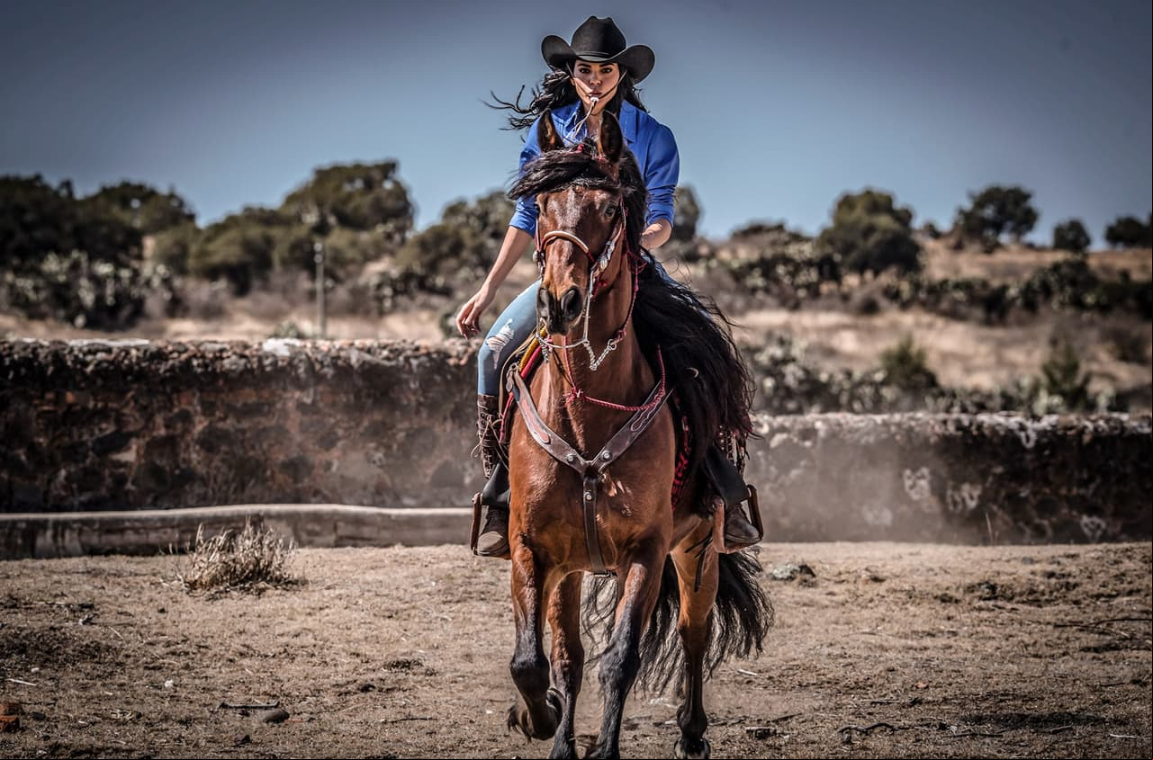 La Desalmada es una telenovela mexicana protagonizada por Livia Brito