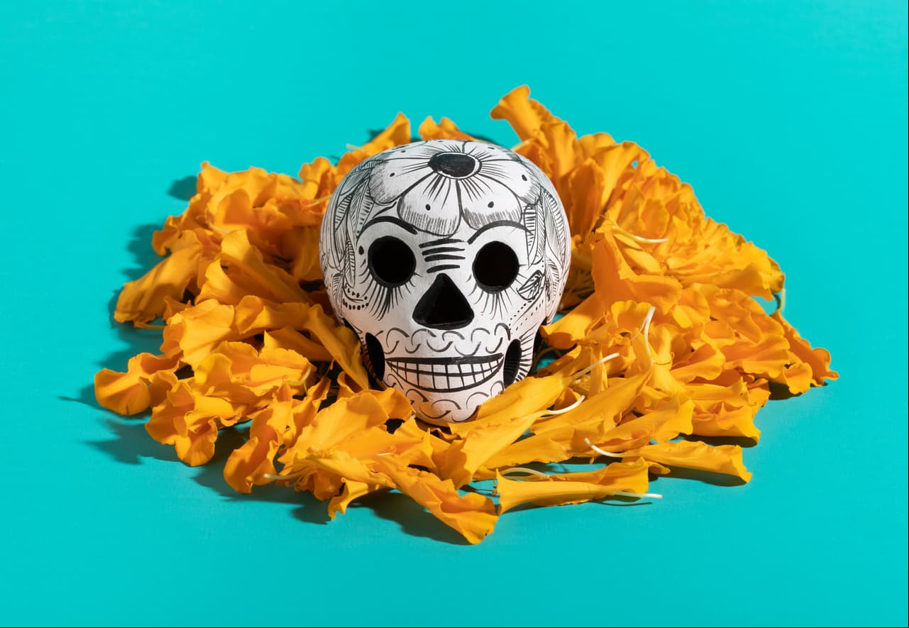 Calaverita, cráneo y pétalos de cempasúchil de Dia de Muertos sobre fondo azul turquesa