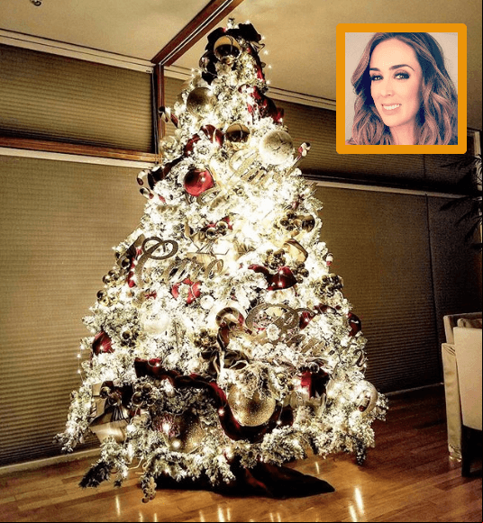 Jacqueline Bracamontes y su familia quedaron impactados por cómo les quedó el árbol. Foto: Instagram