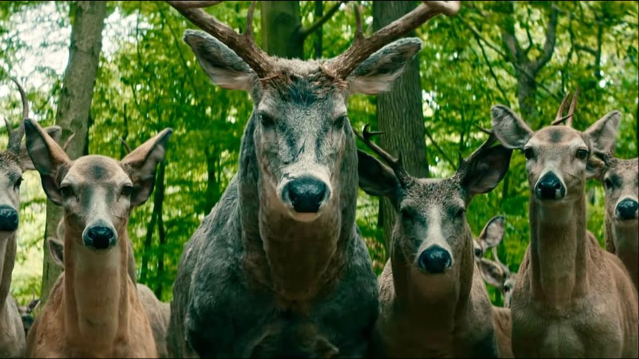 ¿Qué significan los ciervos en la película de Netflix 'Dejar el mundo atrás'?