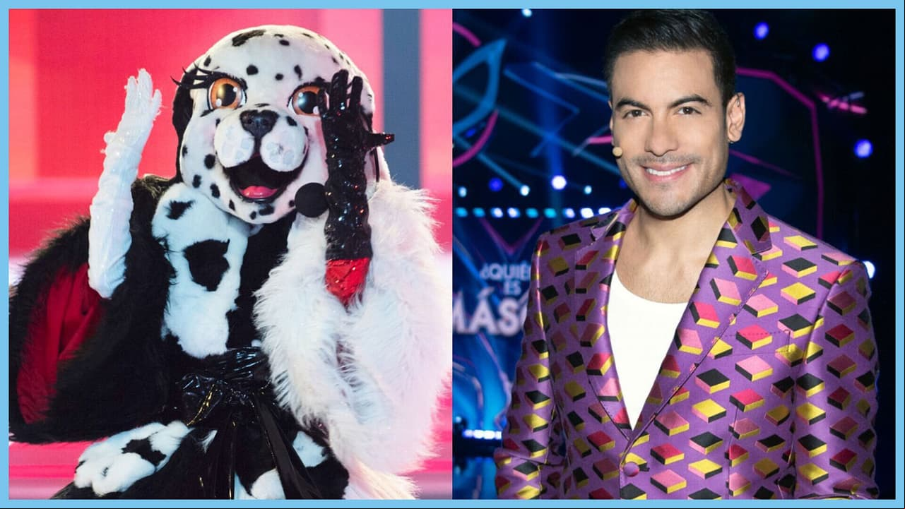 Dálmata ‘le echa los perros’ a Carlos Rivera y así reacciona el investigador