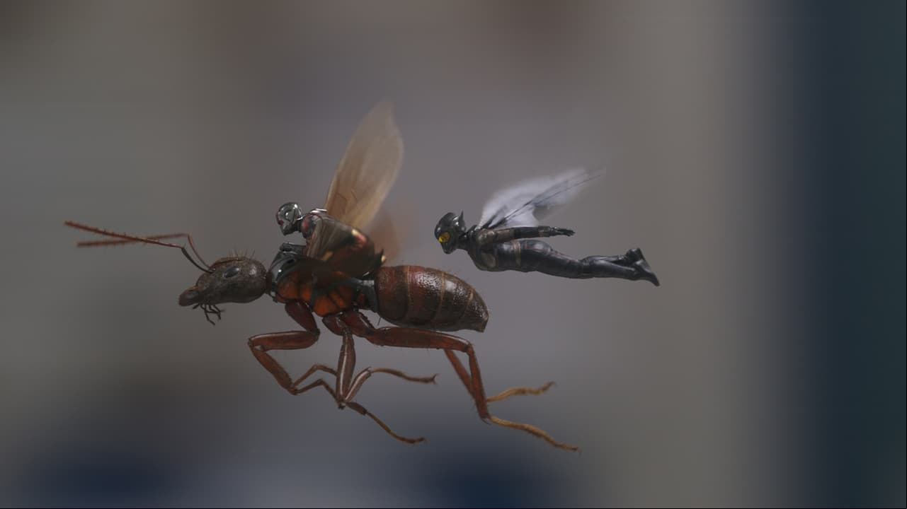 No te pierdas las escenas post-créditos de ‘Ant-Man y la Avispa’, ya que se conecta con ‘Avengers 4’ (FOTO: image.net)