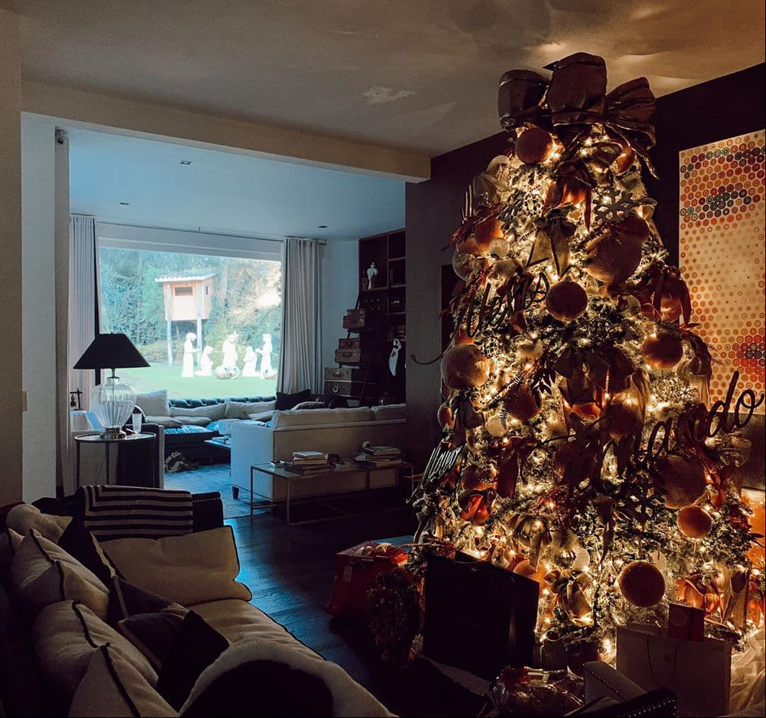 Durante las fechas decembrinas, Galilea Montijo mostró otro ángulo de su sala, en el que se aprecia desde los muebles, su tradicional arbolito y parte del jardín.