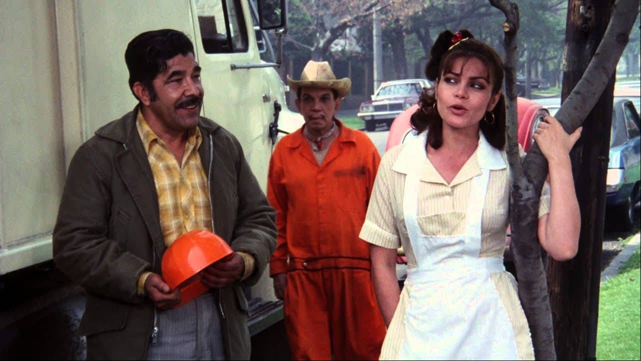 La actriz debutó en las telenovelas en 1974 en "Mundo de Juguete" y, a partir de entonces, realizó una prolífera carrera en teatro, televisión y cine, donde compartió créditos con Cantinflas ("El Barrendero").
<br>
<br>Una de las primeras producciones de la pantalla chica donde destacó fue "Colorina": "Me encantó porque estaba recien parida, tenía mi hijo un mes. El personaje comenzaba pobre, muy pobre, de repente abandona los hijos y se va y regresa elegante, preciosa, triunfadora".