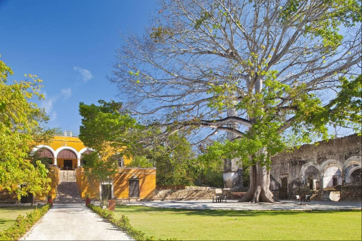 El escenario perfecto para la historia de amor fue la Hacienda Uayamón en el estado de Campeche.