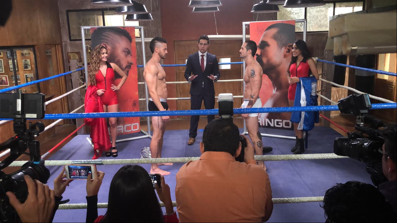 ¿Quién ganará en esta pelea?