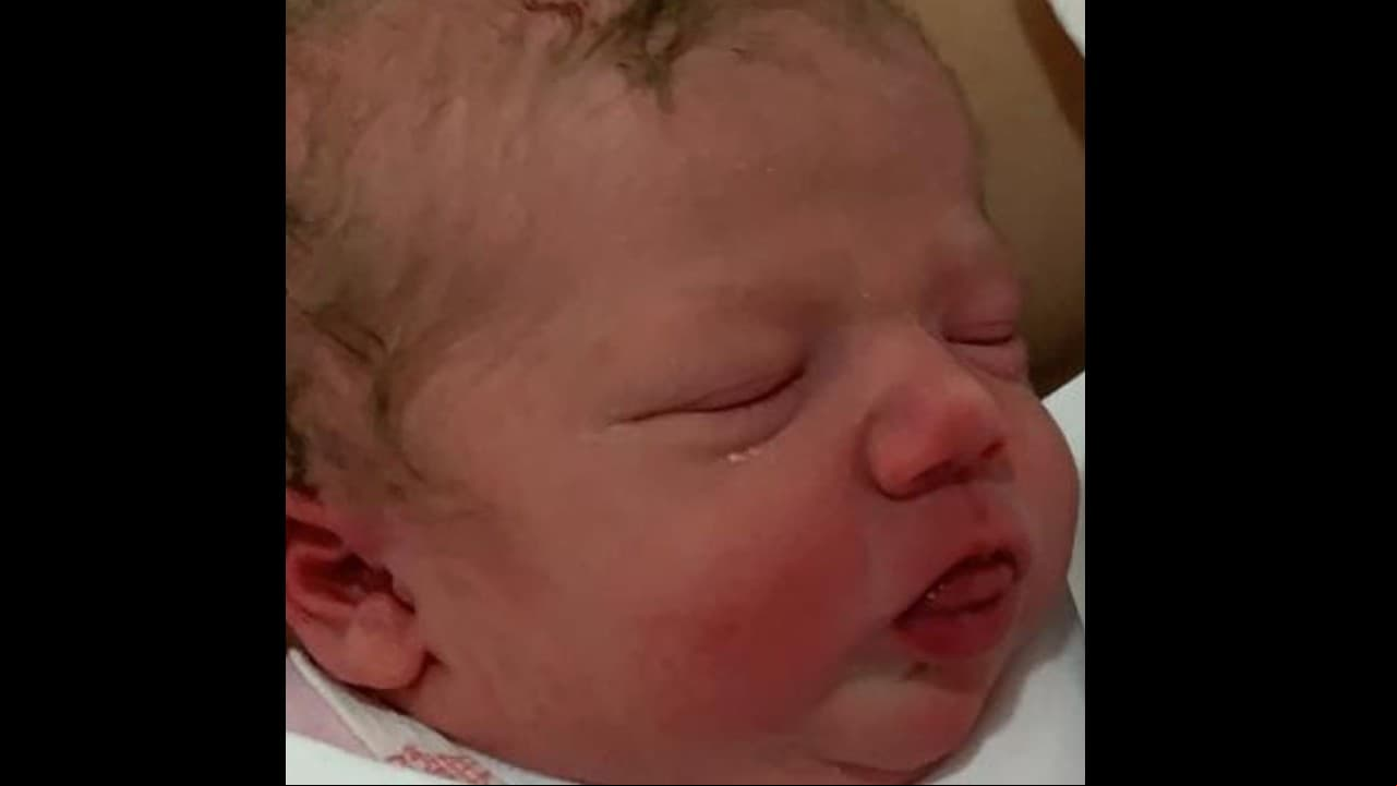 Tanto famosos como fans de la pareja se desvivieron en halagos para la recién nacida y destacaron que Carlota luce como toda una princesa. Sherlyn se limitó a precisar: “Bienvenida princesa”; Mauricio Mancera destacó: “Bienvenida Carlota, llegas a una familia muy querida. Abrazote a los ya 5”; Ariadne Díez sentenció: “Qué alegría y gracias a Dios que todo salió bien. Abrazos a toda la familia”, mientras que Andrea Legarreta precisó: “Qué felicidad. Dios me los bendiga siempre. Bienvenida princesa linda”.