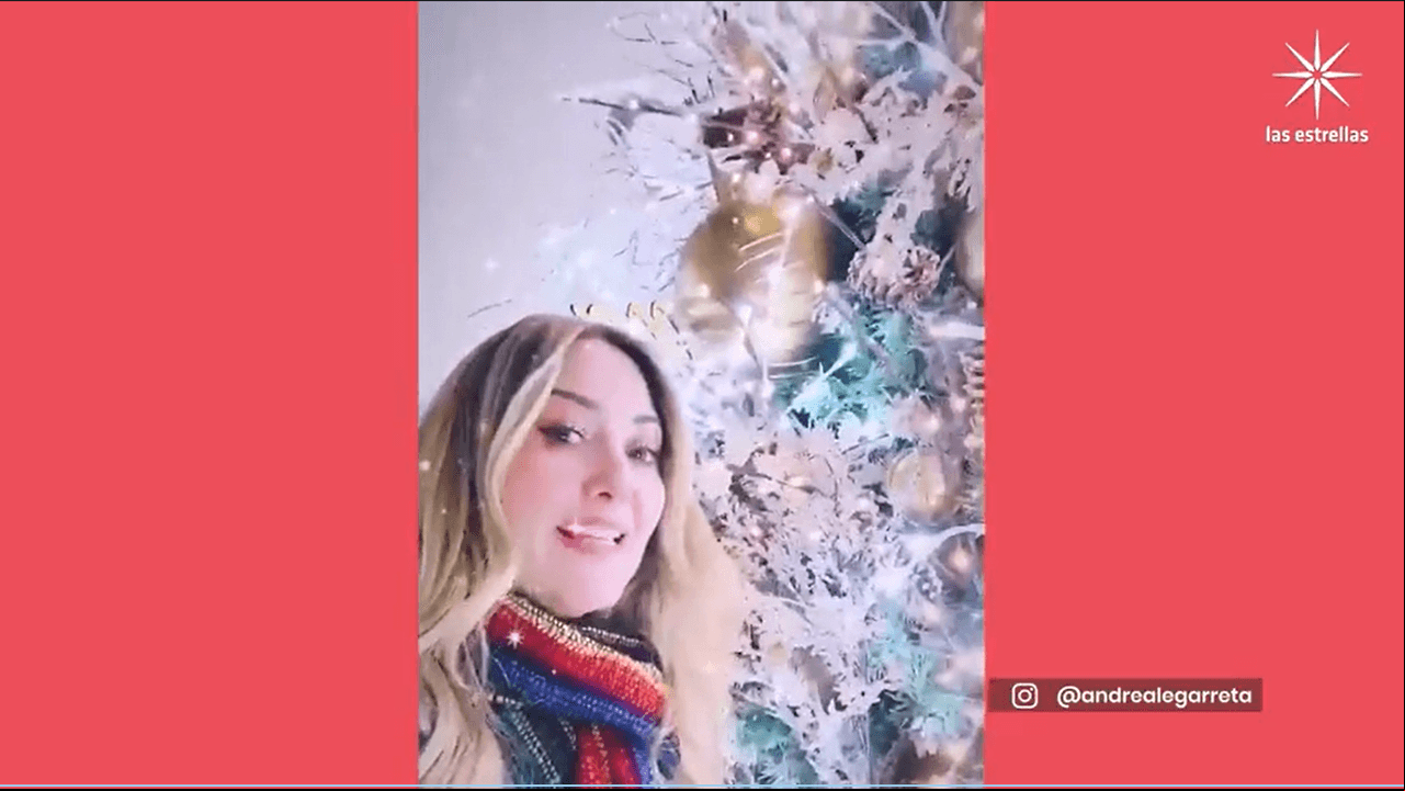 “La Magia se produce cuando sonríes... Un árbol en una caja musical, con búhos hermosos entre sus ramas y un reloj cucú que canta cada hora. Es HERMOSO!! Luego les comparto foto de día para que vean los detalles”, señaló mientras posaba junto al árbol.
