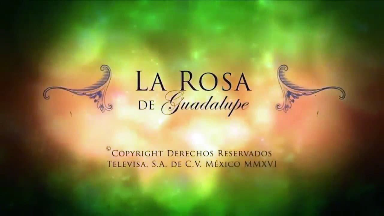 La Rosa de Guadalupe