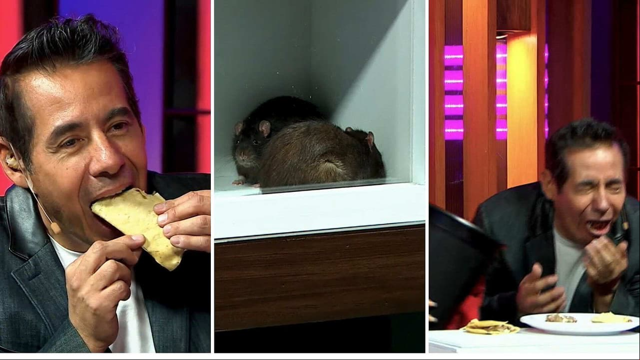 Yordi Rosado se atreve a probar un taco de rata y vomita en plena transmisión de televisión