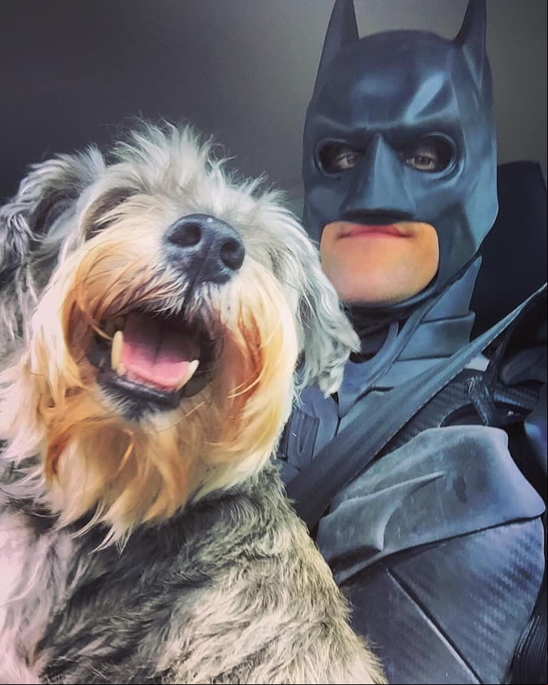 'Batman' al rescate de los animalitos sin hogar