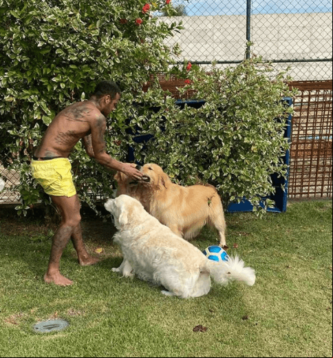 Ahora ya son tres canes los que integran su familia.