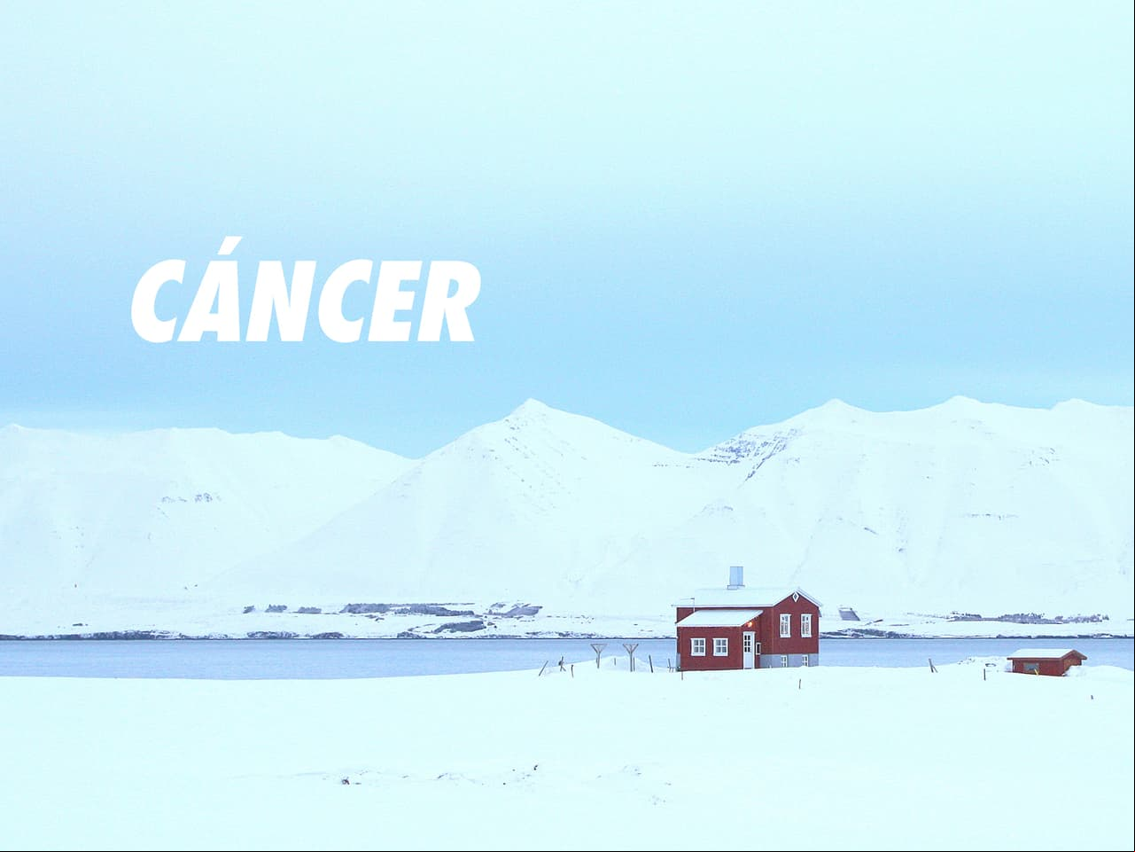 CÁNCER: Sus miedos están asociados con la soledad y el abandono. Sin embargo, hay veces en las que ellos solos son los que propician esta soledad pues tienden a aislarse de los demás cuando se sienten inseguros o vulnerables. Al ser tan nostálgicos, Cáncer también le tiene mucho miedo al futuro y a la incertidumbre.