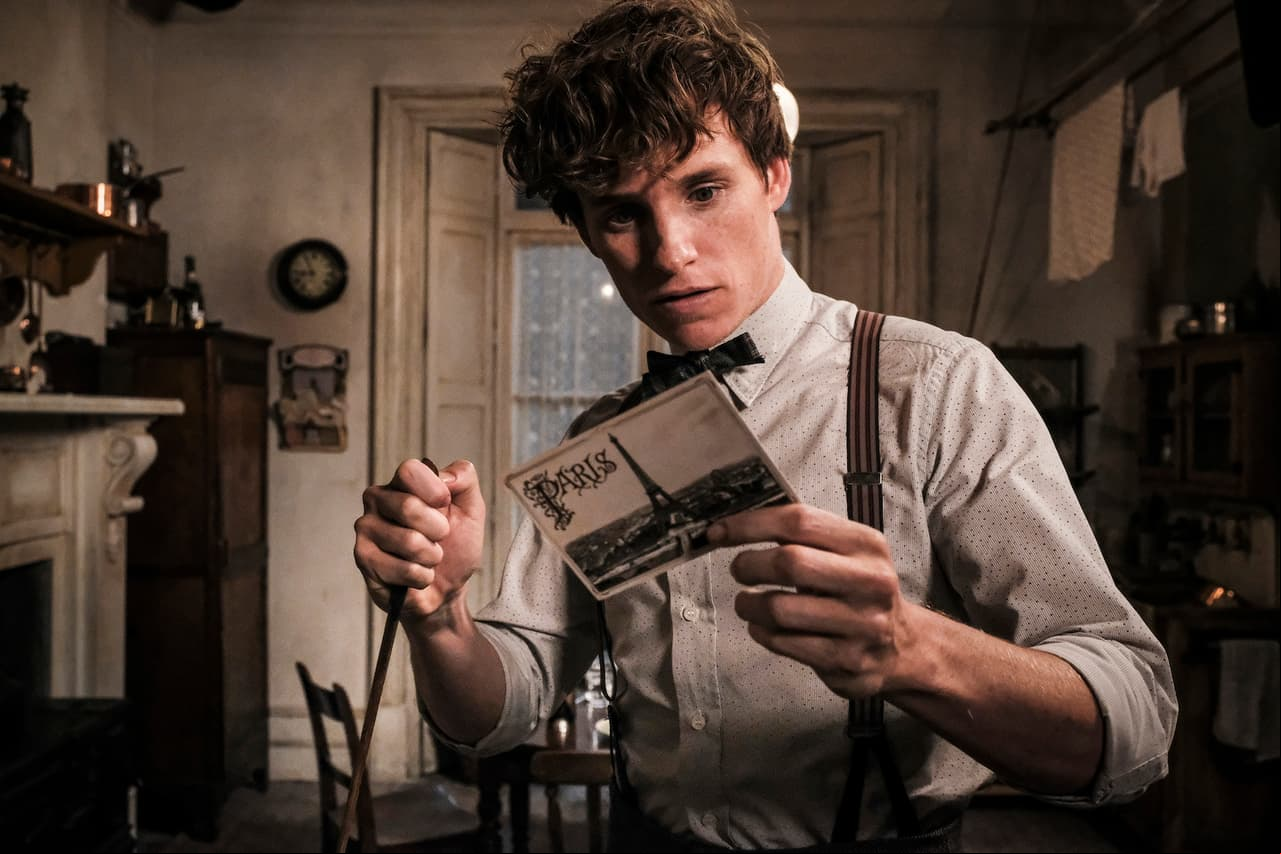 TOP 5: Razones para ver ‘Animales Fantásticos y los Crímenes de Grindelwald’