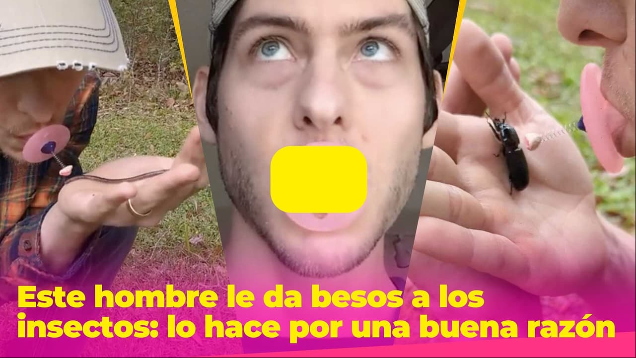 Este hombre le da besos a los insectos y cuando conozcas la razón ya no sentirás asco