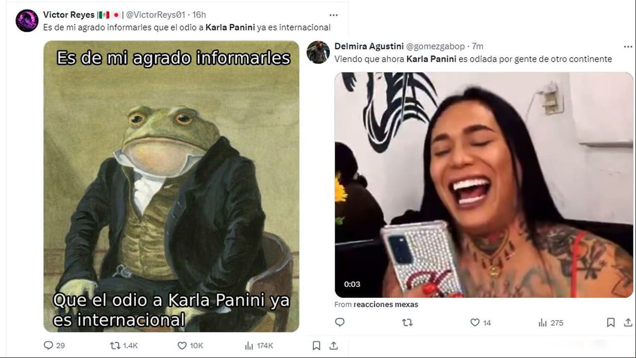 memes Karla Panini 3