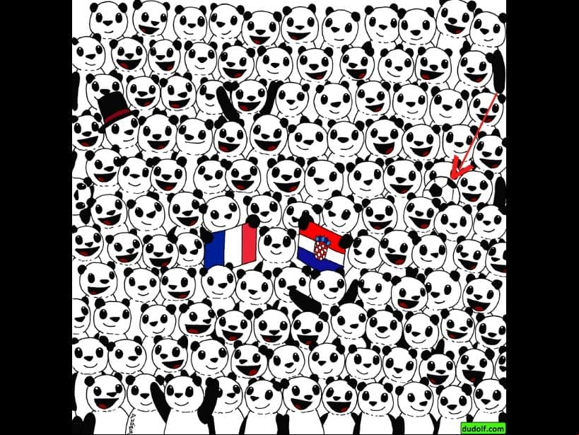 Se encuentra a del lado derecho, entre muchos tiernos pandas.