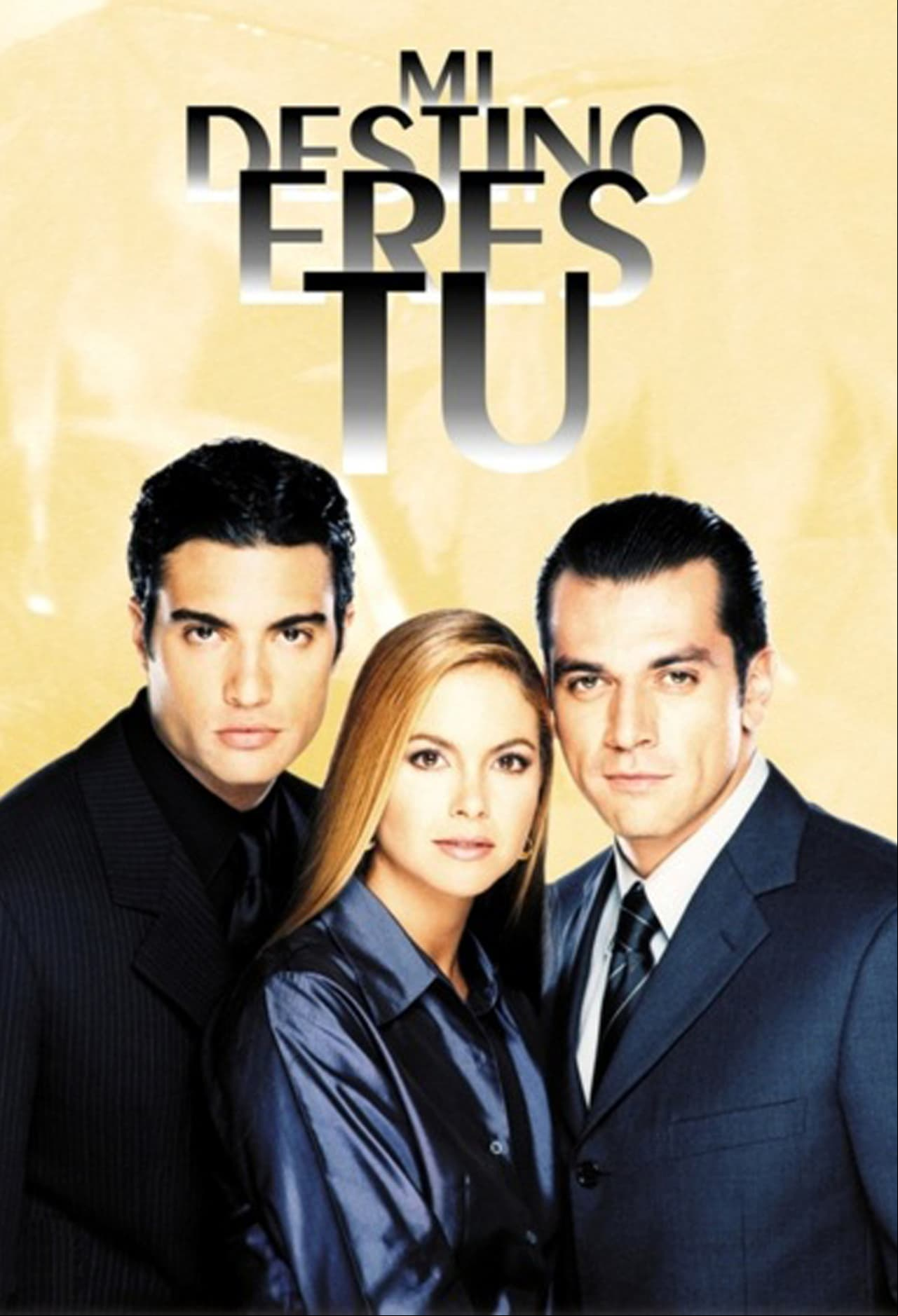 'Mi destino eres tú', 'Alborada', 'Mañana es para siempre' y 'Soy tu dueña' fueron sus siguientes trabajos en la televisión.